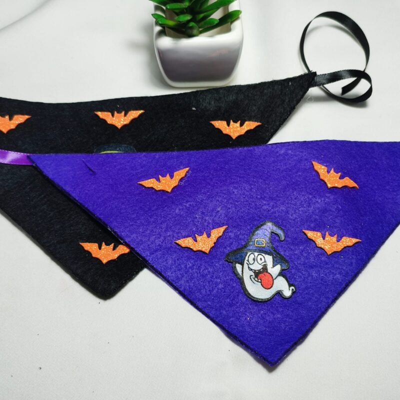 Bandana de Feltro