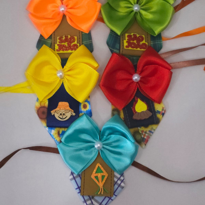 Gravata Luxo – Festa Junina